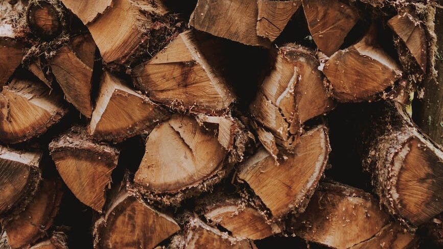 wooden logs prepared for production of lumber