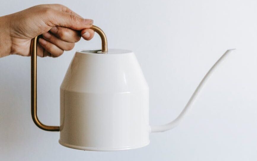 crop gardener showing watering can on white background